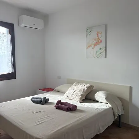 House Daire Olbia