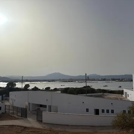 House Olbia